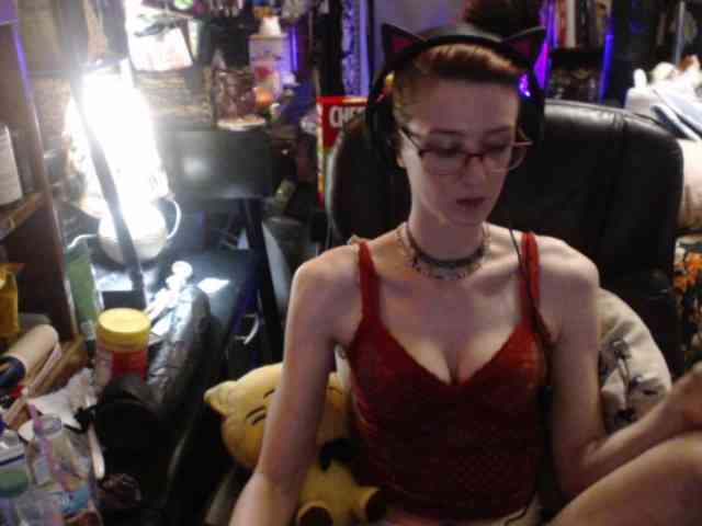 pussyxpaladin