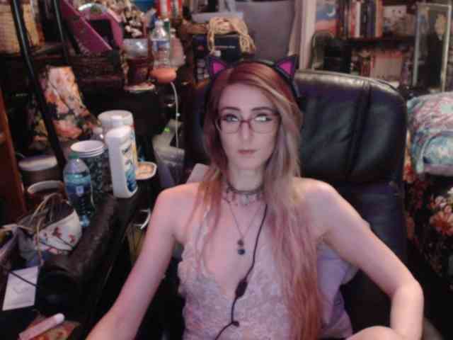 pussyxpaladin webcam