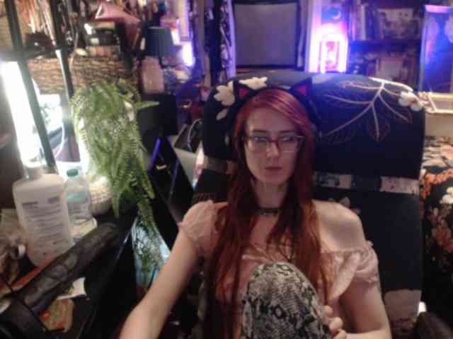 pussyxpaladin webcam