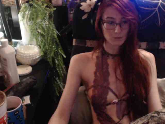 pussyxpaladin webcam