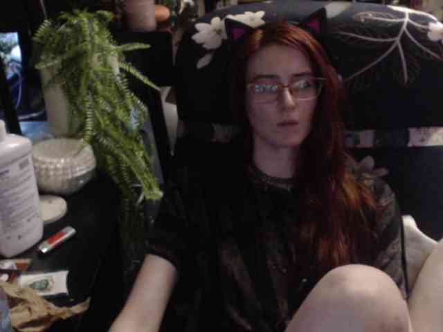 pussyxpaladin webcam