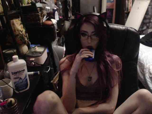 pussyxpaladin webcam