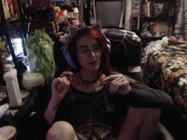 pussyxpaladin webcam