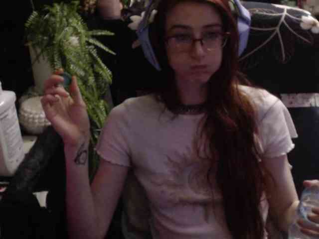 pussyxpaladin webcam