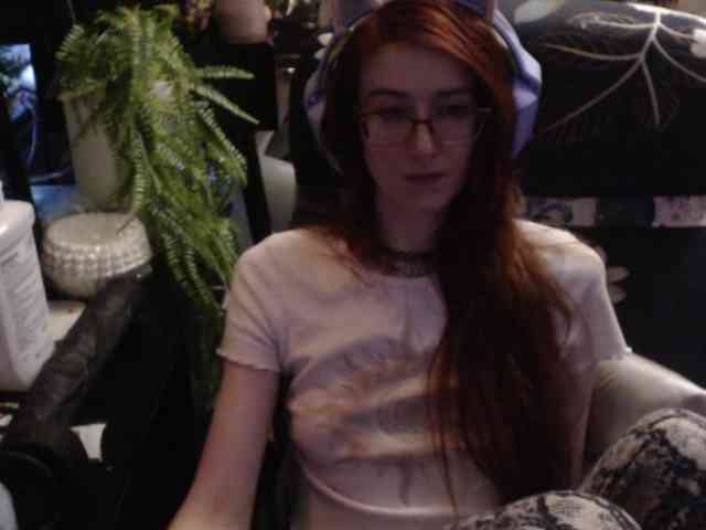 pussyxpaladin