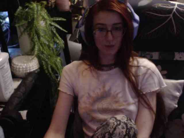 pussyxpaladin webcam