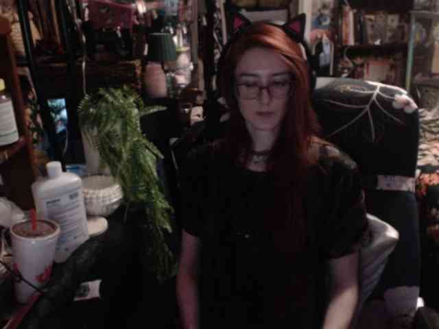 pussyxpaladin webcam