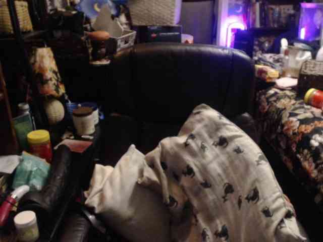 pussyxpaladin Live Webcam on BongaCams