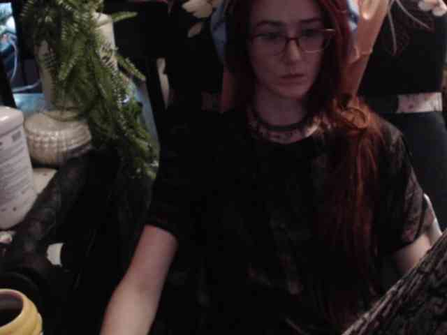 pussyxpaladin
