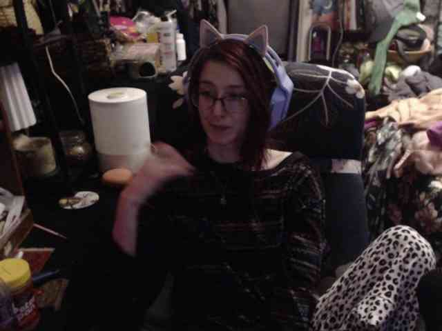 pussyxpaladin webcam