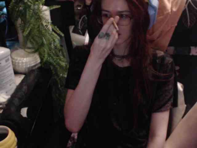 pussyxpaladin webcam