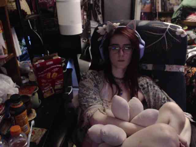 pussyxpaladin