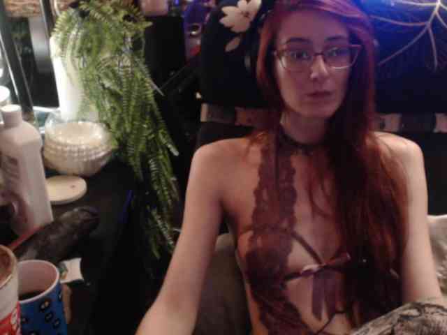 pussyxpaladin webcam