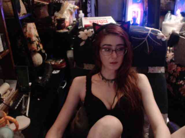 pussyxpaladin