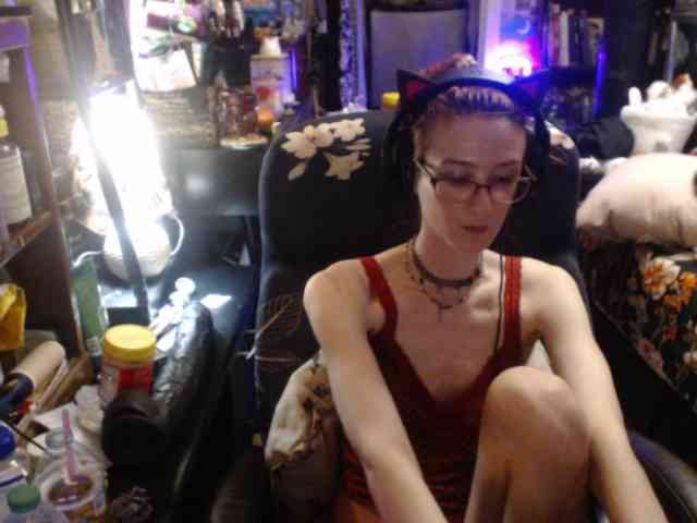 pussyxpaladin