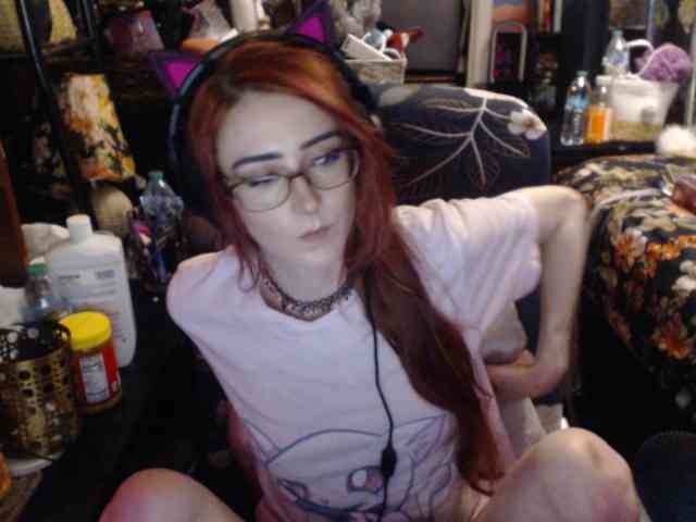 pussyxpaladin webcam