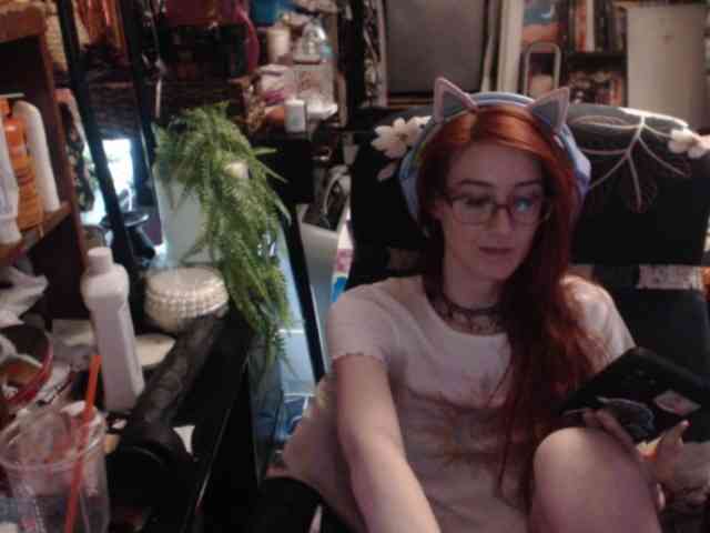 pussyxpaladin webcam
