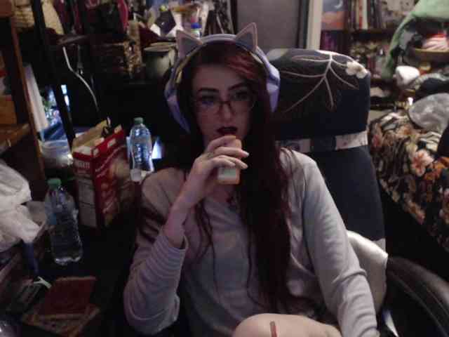 pussyxpaladin