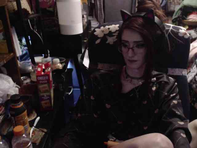 pussyxpaladin webcam