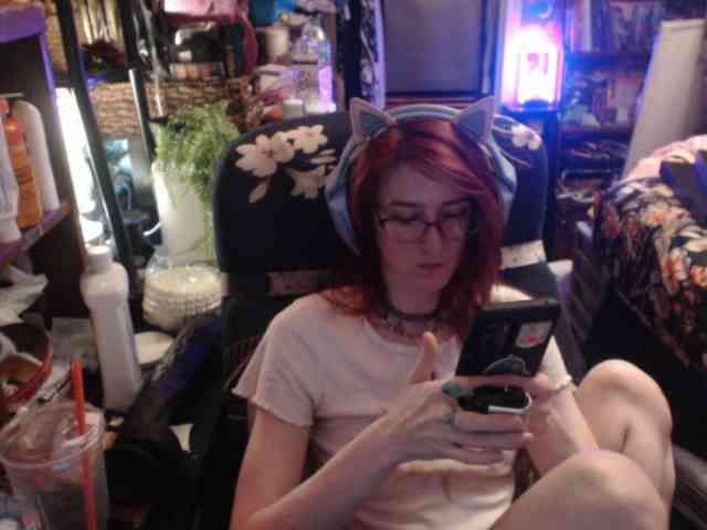 pussyxpaladin webcam