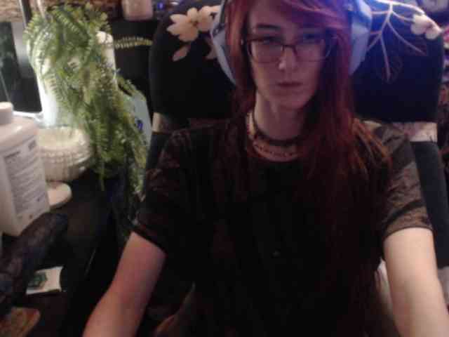 pussyxpaladin webcam
