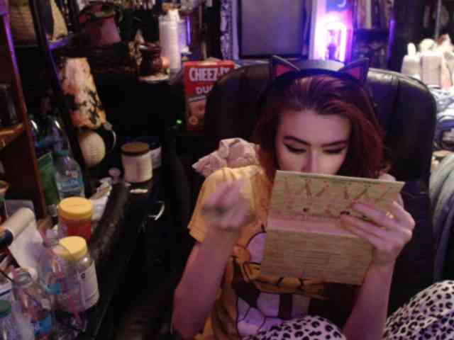 pussyxpaladin's live room