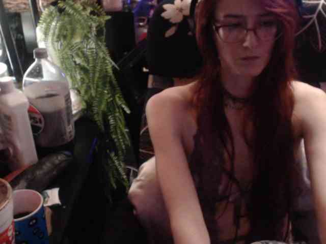 pussyxpaladin webcam