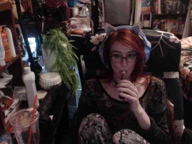 pussyxpaladin webcam