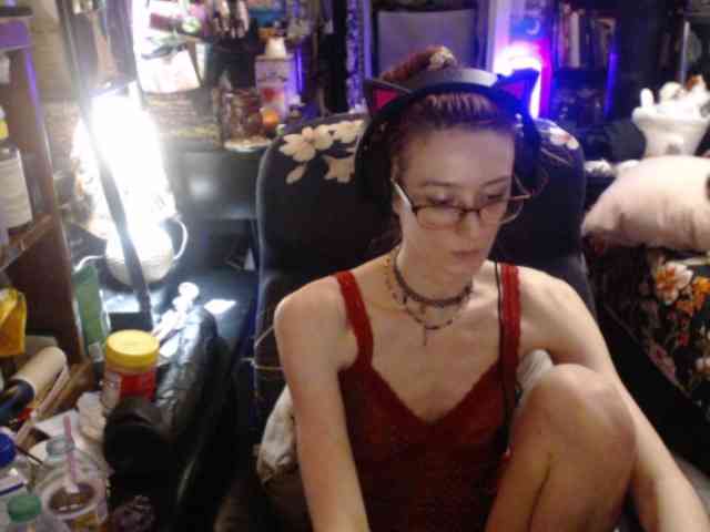 pussyxpaladin