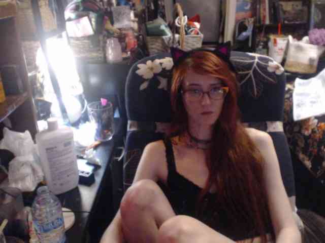 pussyxpaladin webcam