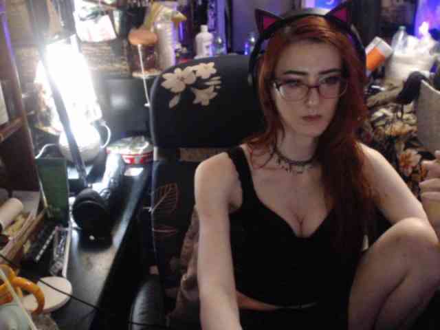 pussyxpaladin