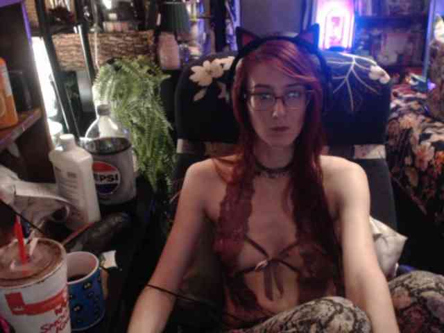 pussyxpaladin webcam