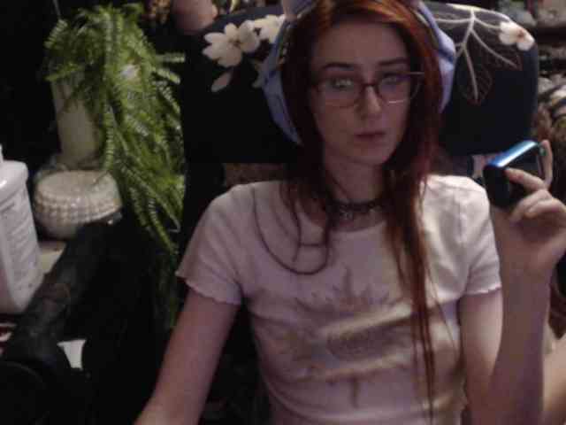 pussyxpaladin webcam