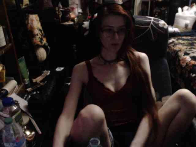 pussyxpaladin