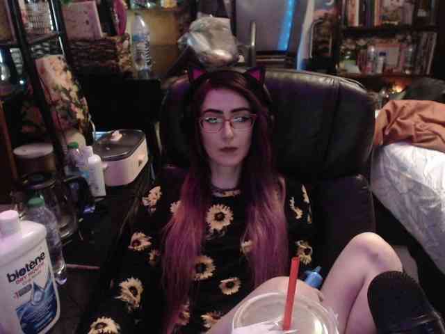 pussyxpaladin webcam