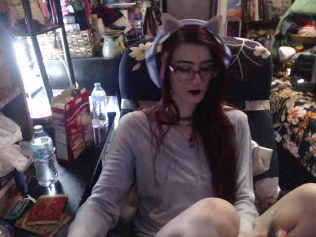 pussyxpaladin webcam