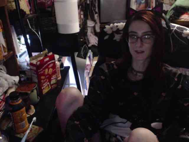 pussyxpaladin webcam