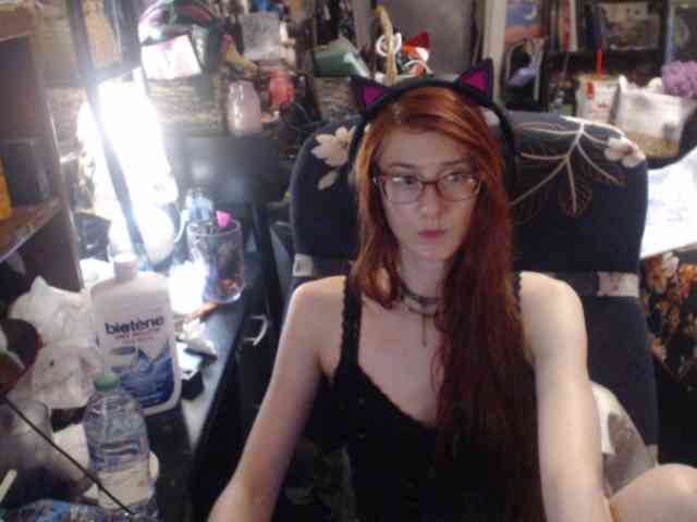 pussyxpaladin webcam