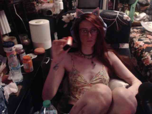 pussyxpaladin webcam