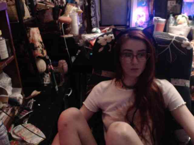 pussyxpaladin
