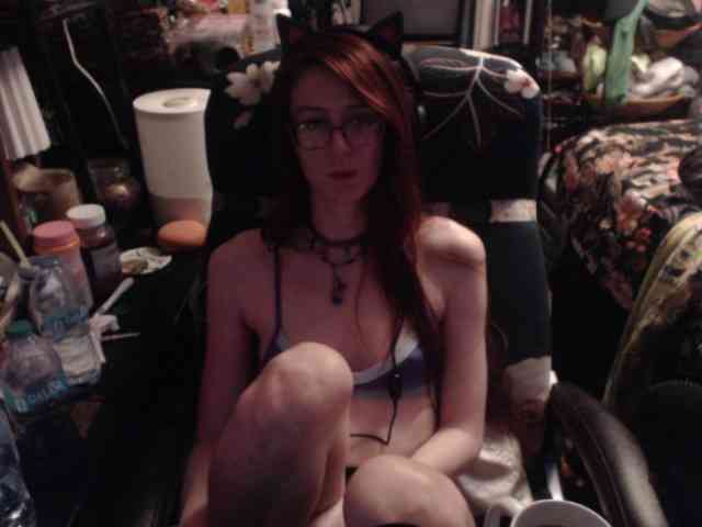 pussyxpaladin webcam