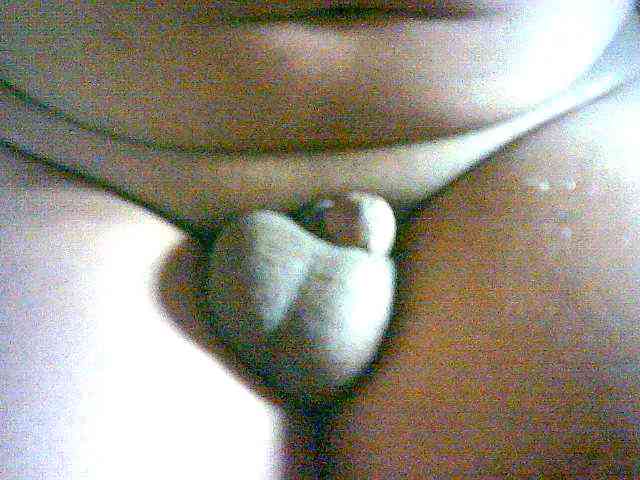 ckarmakar3
