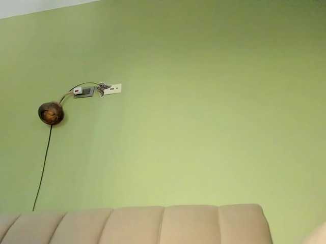 Mspurrfect's BongaCams show and profile