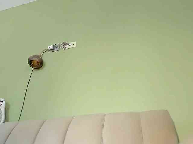Mspurrfect webcam
