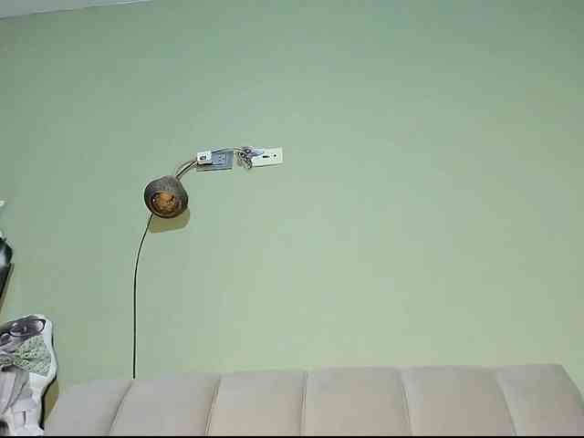 Mspurrfect webcam