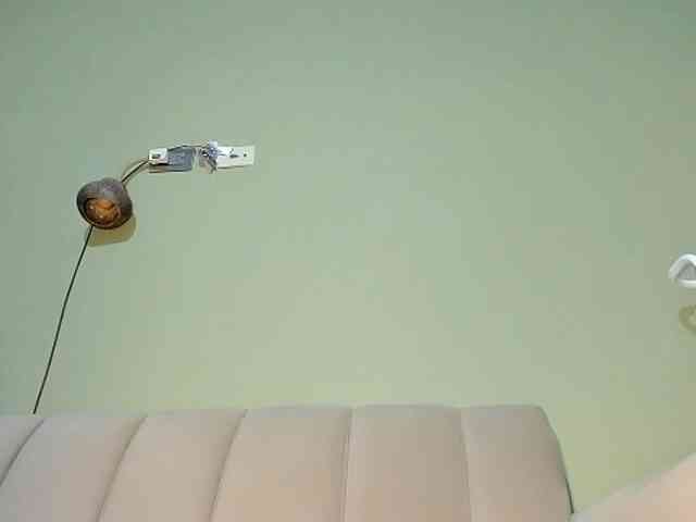 Mspurrfect webcam