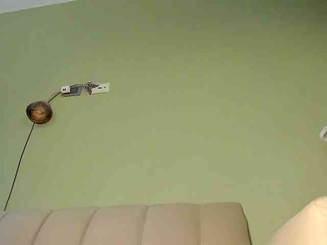 Mspurrfect webcam