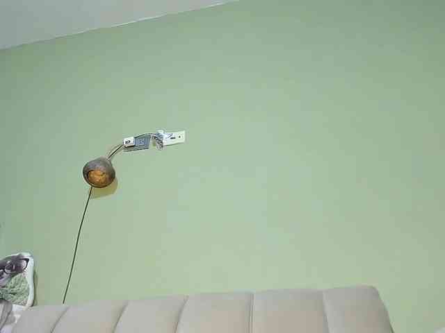Mspurrfect webcam