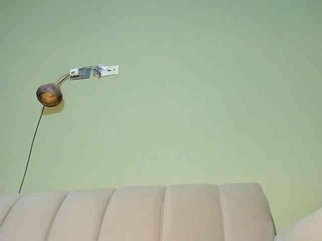 Mspurrfect webcam