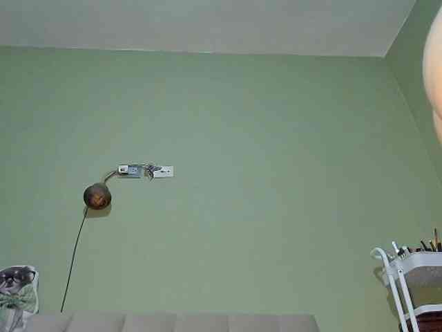 Mspurrfect webcam